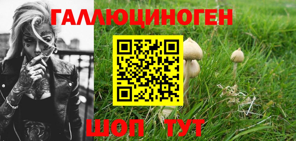 Галлюциногенные грибы Cubensis Шатура