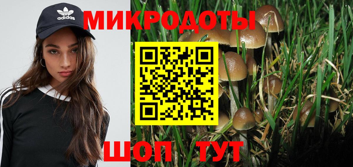 Шатура  Псилоцибиновые грибы ЛСД  Вход с VPN 